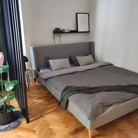 Utulny V Blizkosti Centra Apartman Pozsony