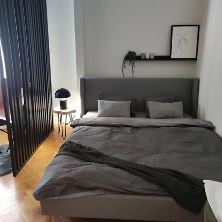 Utulny V Blizkosti Centra Daire *